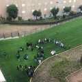 19.º Aniversário da Inauguração Oficial do Colégio Novo da Maia