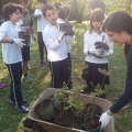 Comemoração da Floresta Autóctone 14