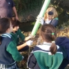 Comemoração da Floresta Autóctone 19