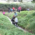 Comemoração da Floresta Autóctone 04