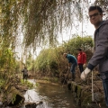 Comemoração da Floresta Autóctone 09