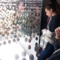 Visita de estudo à Galeria da Biodiversidade - Museu de História Natural e da Ciência da Universidade do Porto