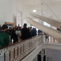 Visita de estudo à Galeria da Biodiversidade - Museu de História Natural e da Ciência da Universidade do Porto