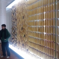 Visita de estudo à Galeria da Biodiversidade - Museu de História Natural e da Ciência da Universidade do Porto