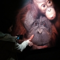 Visita de estudo à Galeria da Biodiversidade - Museu de História Natural e da Ciência da Universidade do Porto