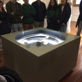 Visita de estudo à Galeria da Biodiversidade - Museu de História Natural e da Ciência da Universidade do Porto
