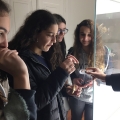 Visita de estudo à Galeria da Biodiversidade - Museu de História Natural e da Ciência da Universidade do Porto