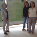 Jornadas LESE - 05