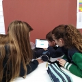 Projetos Interdisciplinares no 1.º Ciclo