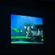 VII Festival de Cinema de Animação