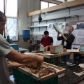 Visita ESAD 03