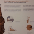 Visita de Estudo ao Museu de Santa Maria de Lamas e ao Complexo Industrial da Corticeira Amorim